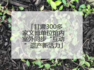 甘肃300多家文博单位馆内室外同步“互动”遗产新活力