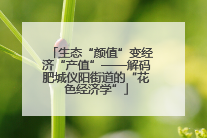生态“颜值”变经济“产值”——解码肥城仪阳街道的“花色经济学”