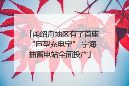 甬绍舟地区有了首座“巨型充电宝” 宁海抽蓄电站全面投产