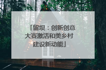 留坝：创新创意大赛激活和美乡村建设新动能