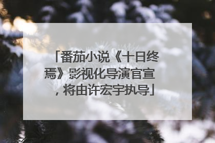 番茄小说《十日终焉》影视化导演官宣，将由许宏宇执导