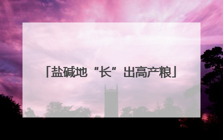 盐碱地“长”出高产粮