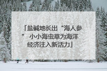 盐碱地长出“海人参” 小小海虫草为海洋经济注入新活力
