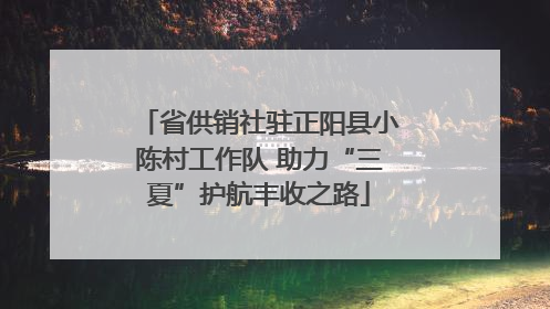 省供销社驻正阳县小陈村工作队 助力“三夏”护航丰收之路