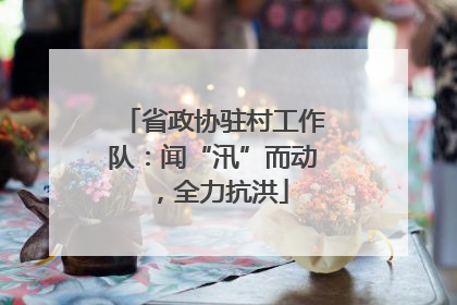 省政协驻村工作队：闻“汛”而动，全力抗洪