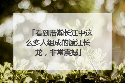看到浩瀚长江中这么多人组成的渡江长龙，非常震撼