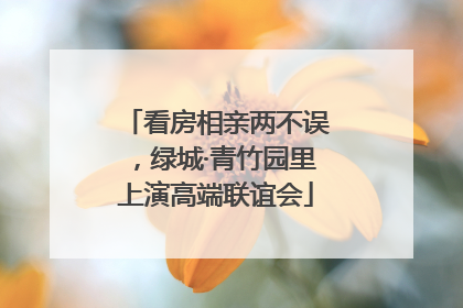 看房相亲两不误，绿城·青竹园里上演高端联谊会