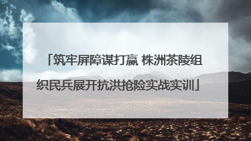 筑牢屏障谋打赢 株洲茶陵组织民兵展开抗洪抢险实战实训