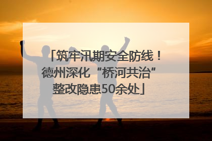 筑牢汛期安全防线！德州深化“桥河共治”整改隐患50余处
