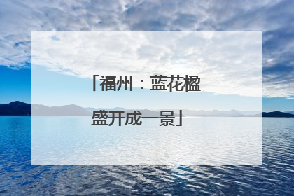 福州：蓝花楹盛开成一景