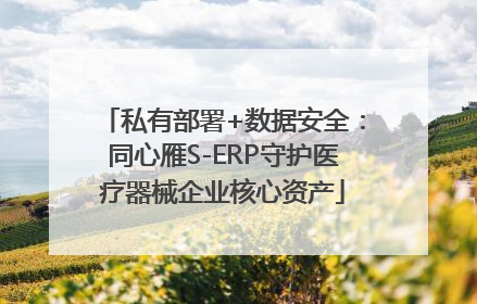 私有部署+数据安全：同心雁S-ERP守护医疗器械企业核心资产