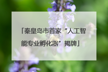 秦皇岛市首家“人工智能专业孵化器”揭牌