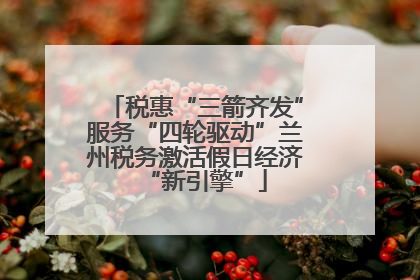 税惠“三箭齐发”服务“四轮驱动”兰州税务激活假日经济“新引擎”