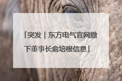 突发｜东方电气官网撤下董事长俞培根信息