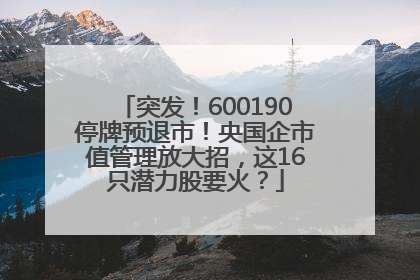 突发！600190停牌预退市！央国企市值管理放大招，这16只潜力股要火？