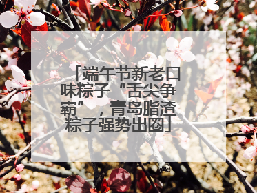 端午节新老口味粽子“舌尖争霸”，青岛脂渣粽子强势出圈