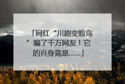 网红“川剧变脸鸟”骗了千万网友！它的真身竟是……