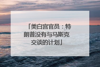 美白宫官员：特朗普没有与马斯克交谈的计划