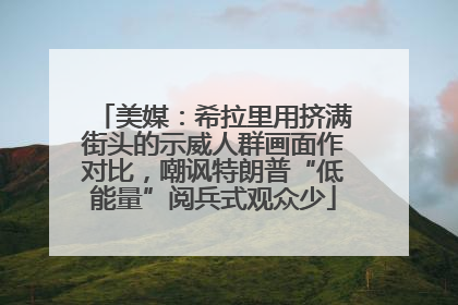 美媒：希拉里用挤满街头的示威人群画面作对比，嘲讽特朗普“低能量”阅兵式观众少