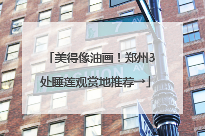 美得像油画！郑州3处睡莲观赏地推荐→