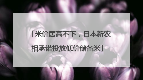米价居高不下，日本新农相承诺投放低价储备米