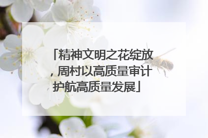 精神文明之花绽放，周村以高质量审计护航高质量发展