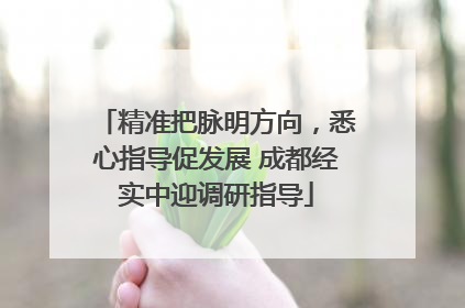 精准把脉明方向，悉心指导促发展 成都经实中迎调研指导