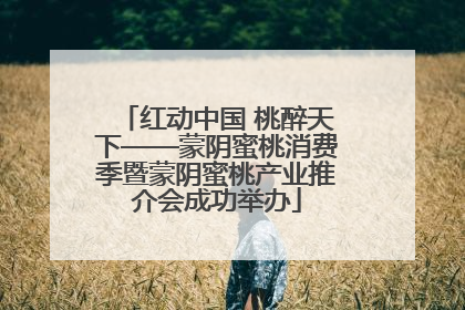 红动中国 桃醉天下——蒙阴蜜桃消费季暨蒙阴蜜桃产业推介会成功举办