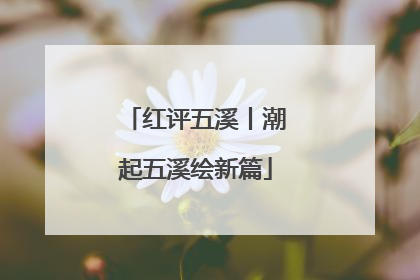红评五溪丨潮起五溪绘新篇
