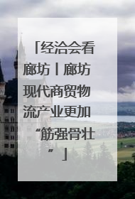 经洽会看廊坊丨廊坊现代商贸物流产业更加“筋强骨壮”