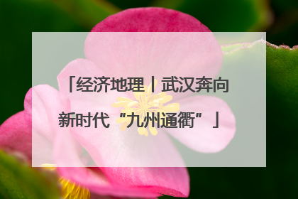 经济地理丨武汉奔向新时代“九州通衢”