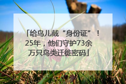 给鸟儿戴“身份证”！25年，他们守护73余万只鸟类迁徙密码