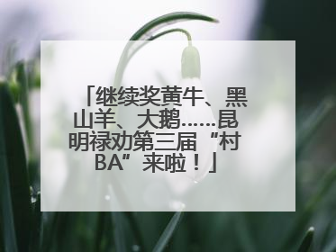 继续奖黄牛、黑山羊、大鹅……昆明禄劝第三届“村BA”来啦！