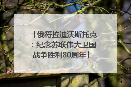俄符拉迪沃斯托克：纪念苏联伟大卫国战争胜利80周年