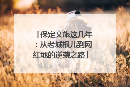 保定文旅这几年：从老城根儿到网红地的逆袭之路
