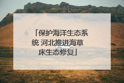 保护海洋生态系统 河北推进海草床生态修复