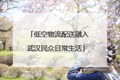 低空物流配送融入武汉民众日常生活