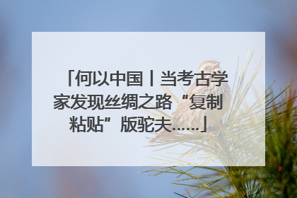 何以中国丨当考古学家发现丝绸之路“复制粘贴”版驼夫……