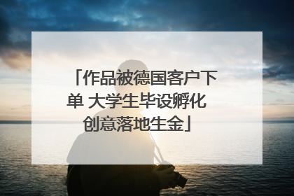 作品被德国客户下单 大学生毕设孵化创意落地生金