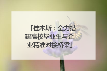 佳木斯：全力搭建高校毕业生与企业精准对接桥梁