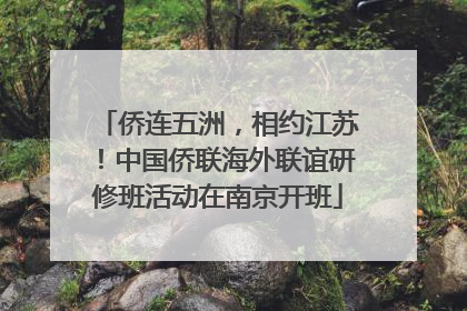 侨连五洲，相约江苏！中国侨联海外联谊研修班活动在南京开班