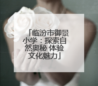 临汾市御景小学：探索自然奥秘 体验文化魅力