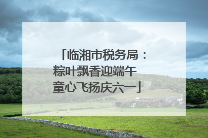 临湘市税务局：粽叶飘香迎端午 童心飞扬庆六一