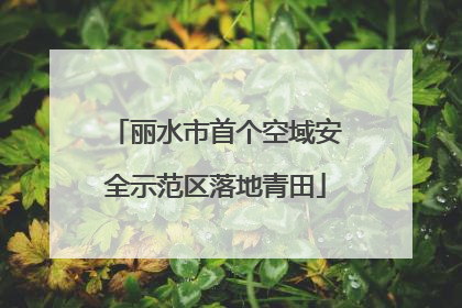 丽水市首个空域安全示范区落地青田