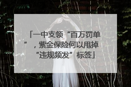 一中支领“百万罚单”，紫金保险何以甩掉“违规频发”标签