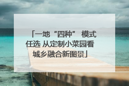 一地“四种” 模式任选 从定制小菜园看城乡融合新图景