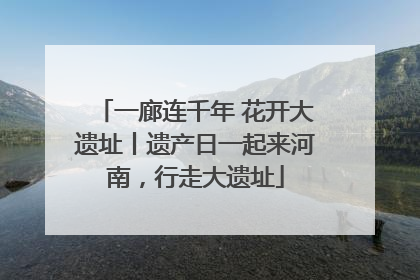 一廊连千年 花开大遗址丨遗产日一起来河南，行走大遗址