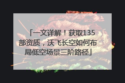 一文详解！获取135部资质，沃飞长空如何布局低空场景三阶路径