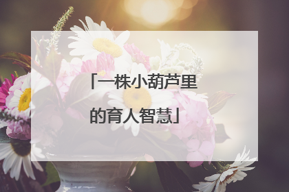 一株小葫芦里的育人智慧