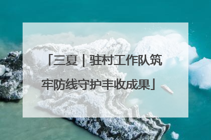 三夏｜驻村工作队筑牢防线守护丰收成果